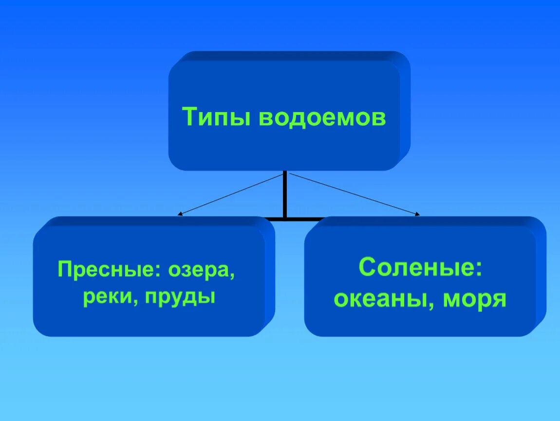 Рыбы пресных и соленых водоемов 1 класс