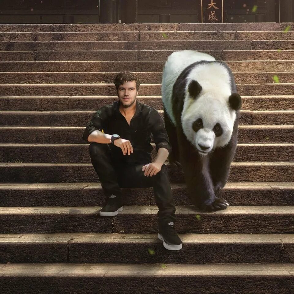 Panda los angeles. La panda. Животные китая. Ленивая панда. Panda mp3.