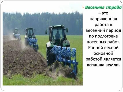 Весенняя страда презентация в старшей группе