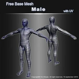 Base models