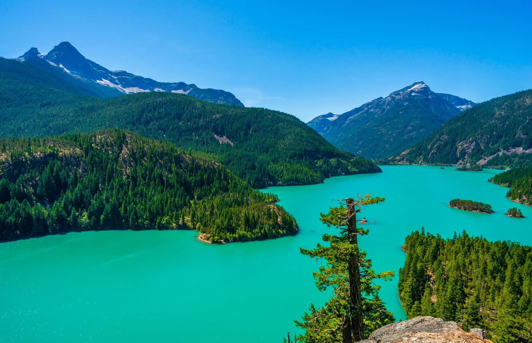 Amazing view. Каскадные горы. Cascade Mountains.