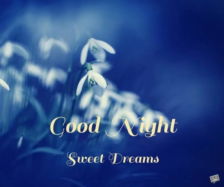 Have good dreams. Свит дримс. Sweet Dreams картинки. Sweet Dreams нежные картинки. Картинка высокого качества Sweet Dreams.