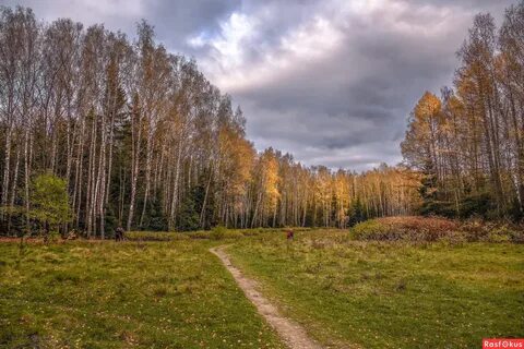 Поляна осенью