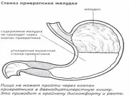 Привратник проходим