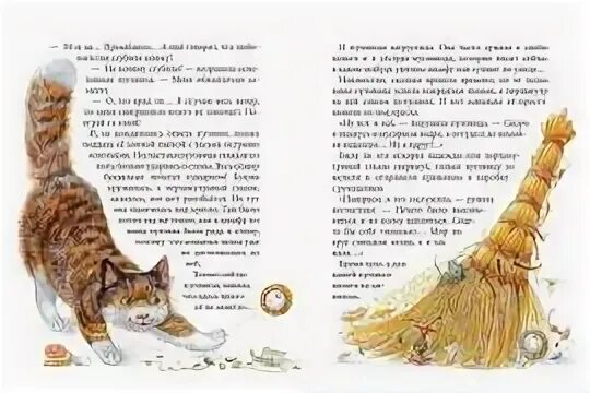 Рассказ или сказка книга в моей жизни. Птухина жизнь замечательных вещей. Жизнь замечательных вещей читать.