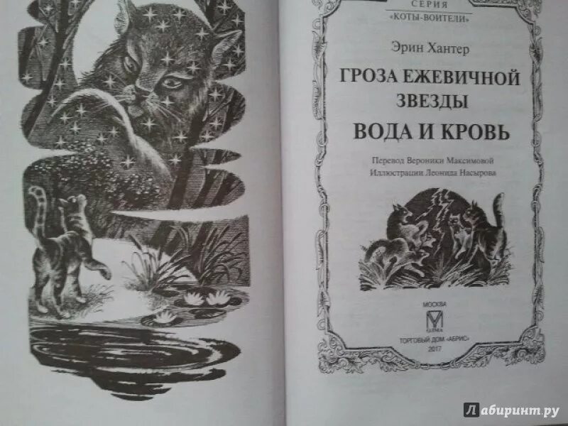 Гроза Ежевичной звезды книга. Коты Воители книга вода и кровь. Гроза Ежевичной звезды. Вода и кровь. Гроза Ежевичной звезды бедствие.