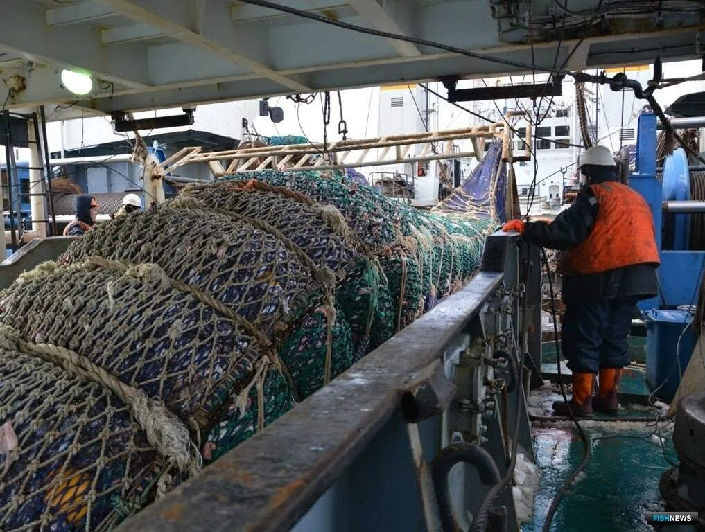 Рыболовство. Фабрика орудий лова петропавловск камчатский. Мировая рыбалка. Рыбопромышленный комплекс дальнего востока. Рыболовство в море.