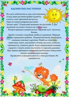 Консультация летнего сада