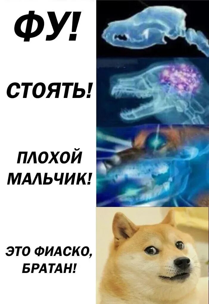 Фиаско 4 буквы. Фиаско 4 буквы. Фиаско картинки. Фиаско 4 буквы. Фиаско я потерпел.