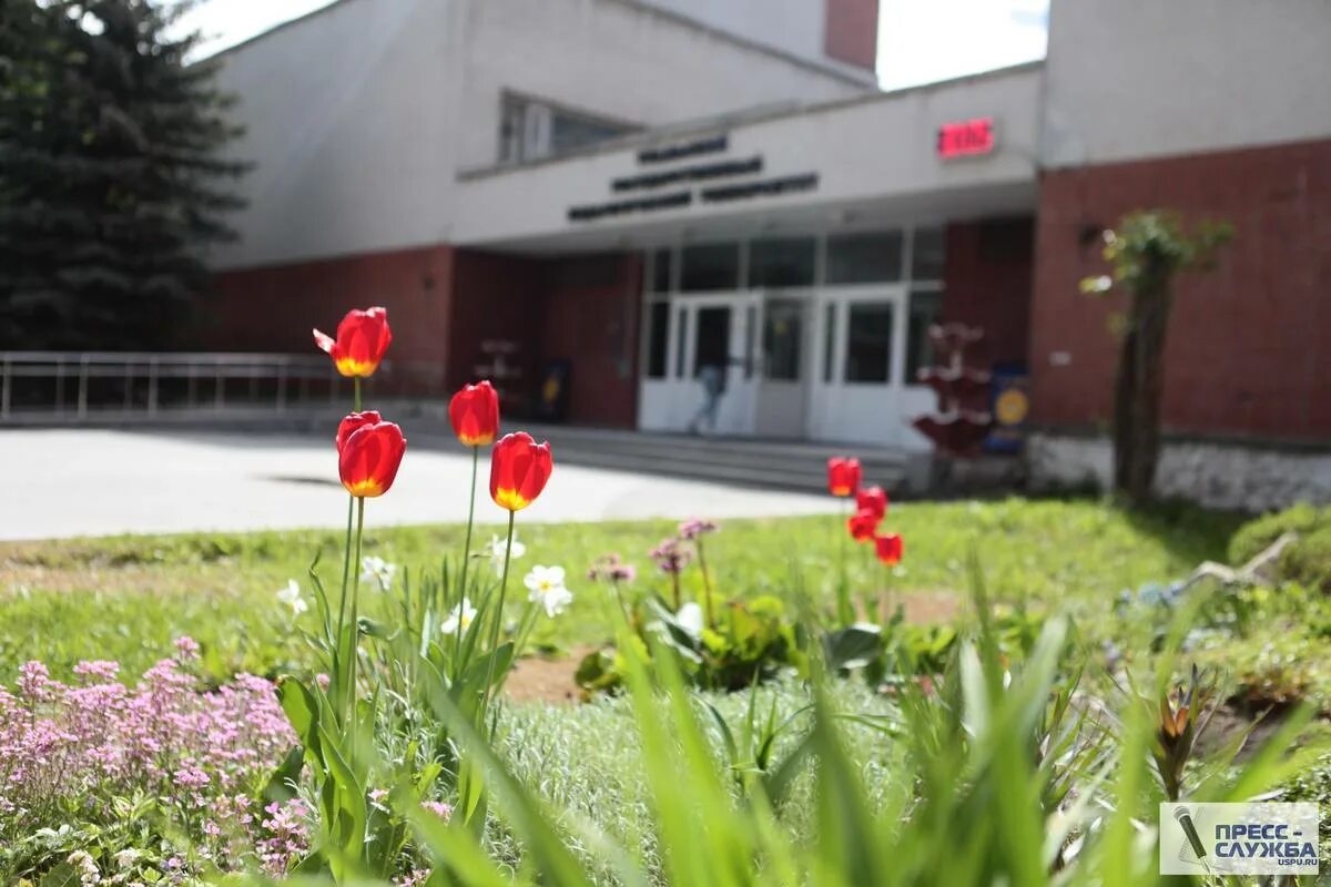 Фгбоу уральский государственный педагогический университет. Фгбоу уральский государственный педагогический университет. Фгбоу уральский государственный педагогический университет. Фгбоу впо уральский государственный педагогический университет. Уральский государственный педагогический университет екатеринбург.