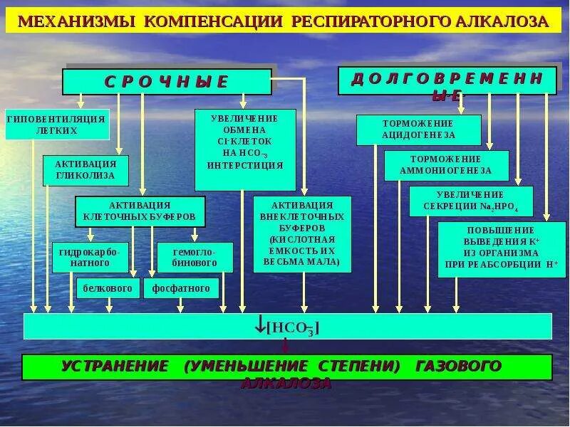Причина развития метаболического алкалоза. Газовый ацидоз этиология патогенез. Механизмы компенсации алкалоза. Компенсаторные механизмы газового алкалоза. Ацидоз механизм возникновения.