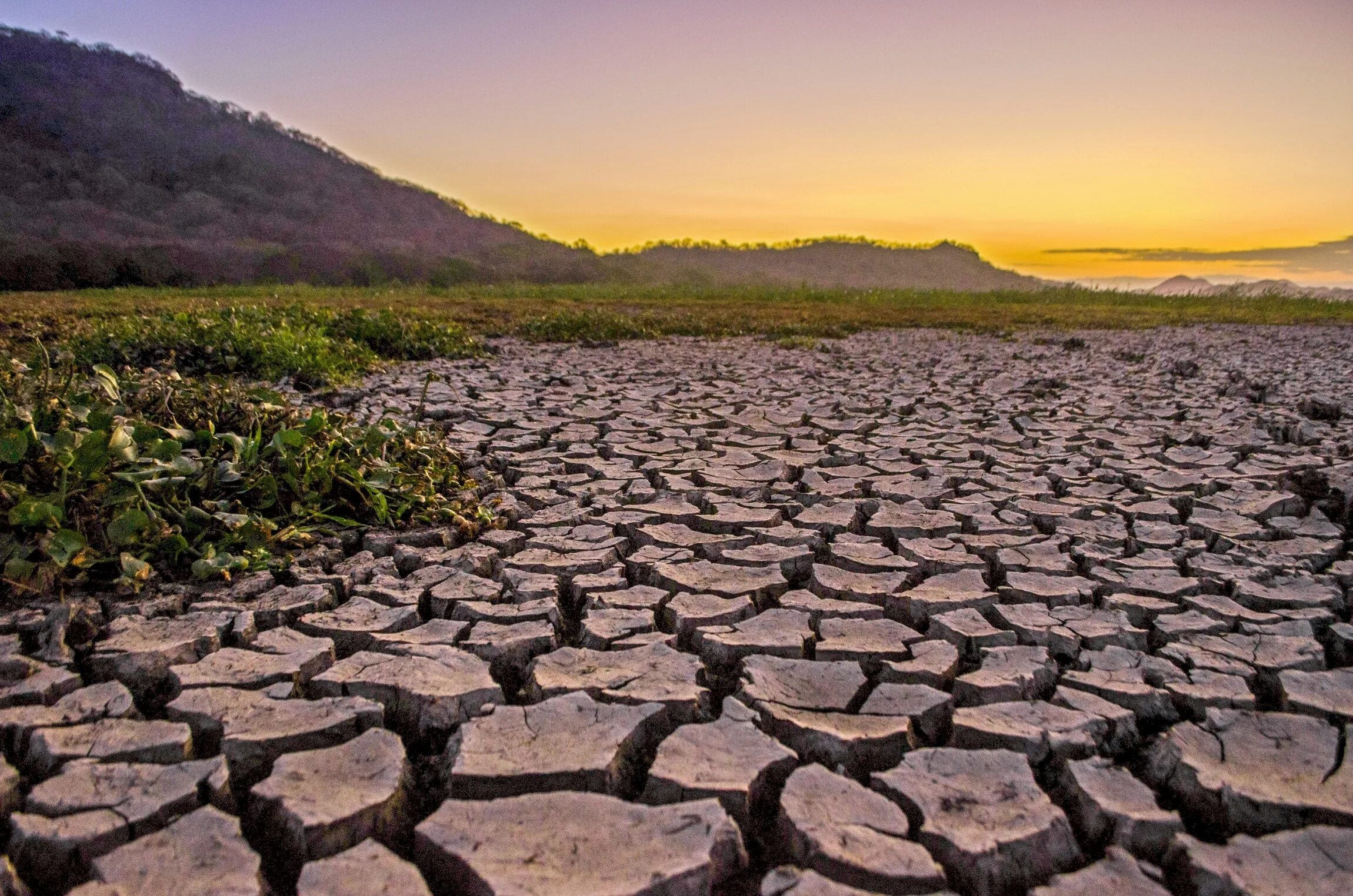 Засуха климат. Meteorological drought. The climate crisis. Эдафические пустыни.