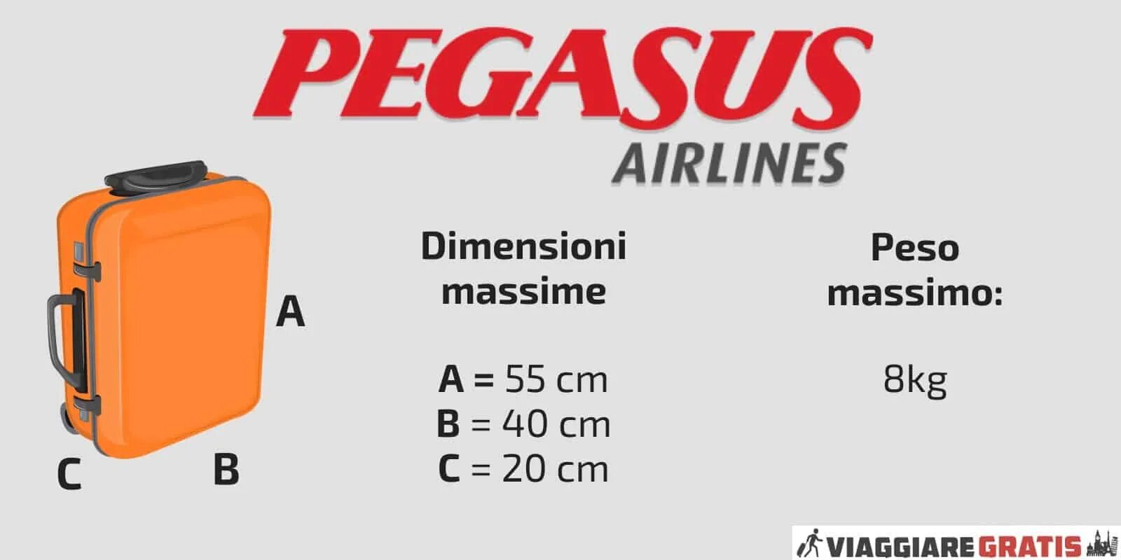 Pegasus ручная кладь габариты. Pegasus Airlines ручная кладь габариты. Pegasus Airlines нормы ручной клади. Габариты багажа Пегасус 20 кг.