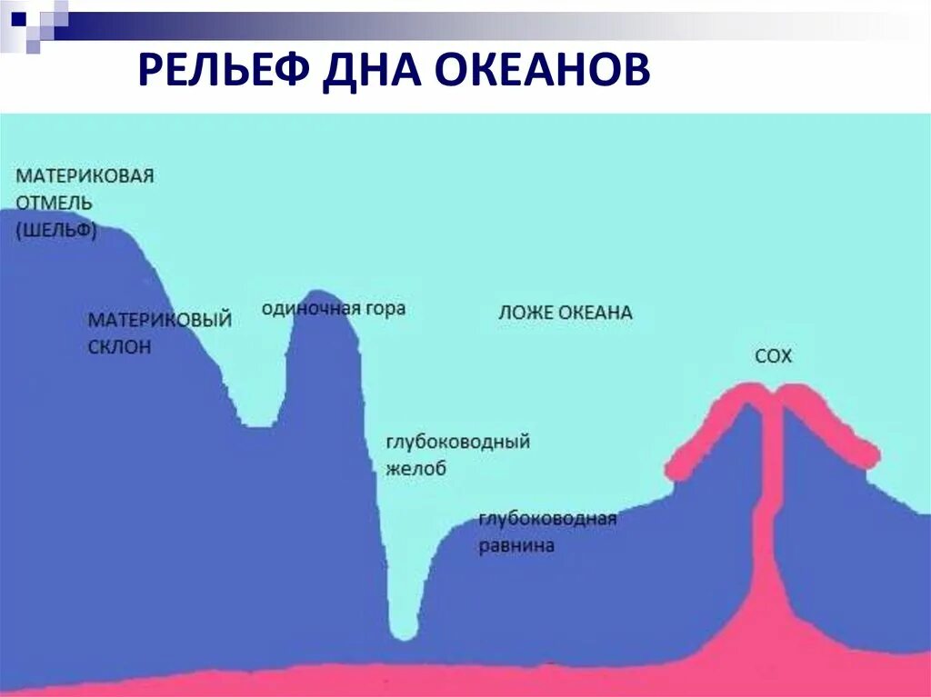 Рельеф дна Тихого океана схема. Рельеф дна мирового океана. Рельеф дна океанов. Строение дна индийского океана. Впадины океанов рельеф