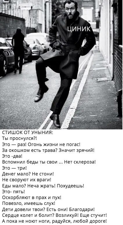 Циник цитаты интересные. Что означает слово циник сочинение. Циничность это простыми словами. Цинизм это простыми словами пример. Что означает слово циник сочинение.