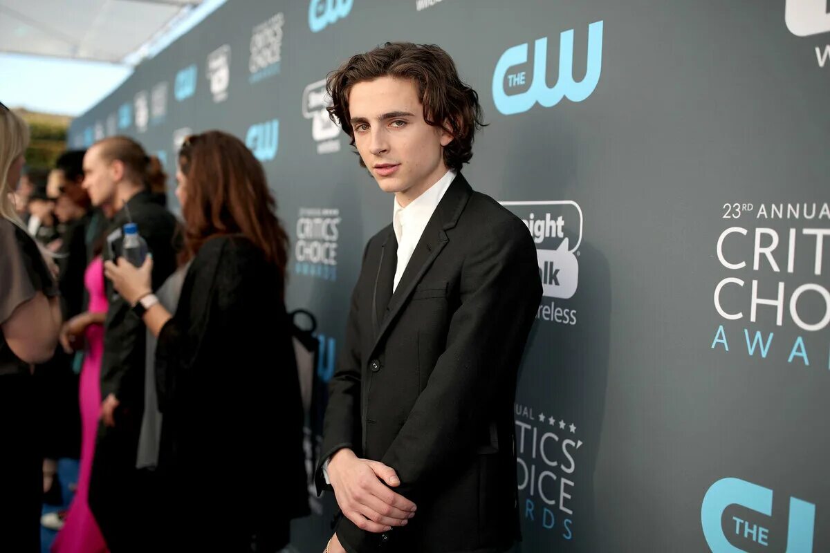 Тимоти шаламе 2020 лысый. Сирша ронан и тимоти шаломе. Тиоти шаломей. Тимоти шаламе timothée chalamet. Тимоти шаламе.