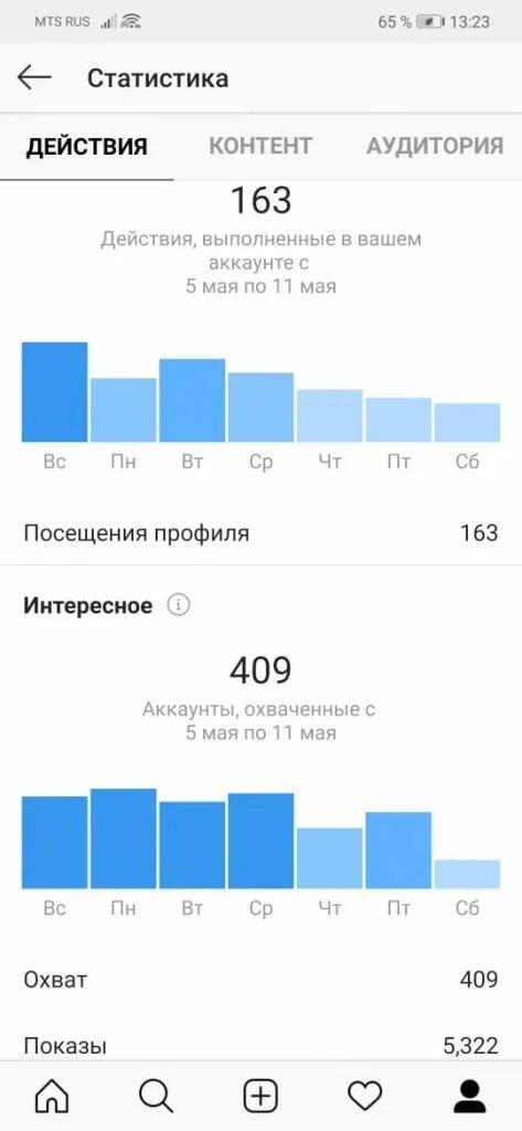 Аудитория в инсте