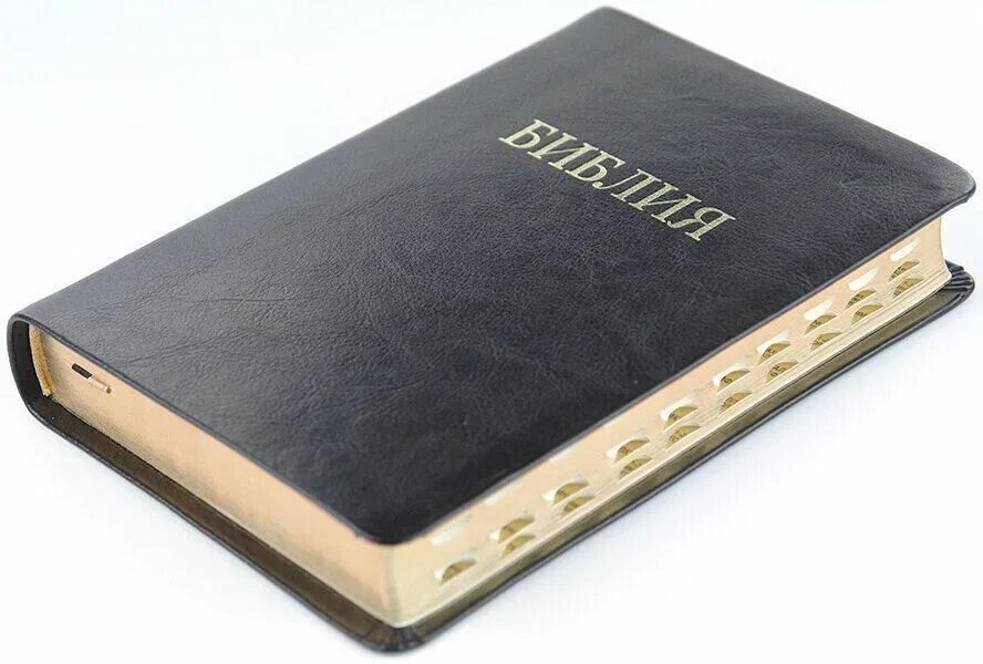 Библия 77 книг. Библия в мягком переплете. Библия в мягком переплете позолоченными листами. Библия в зелёном мягком переплете с позолоченными листами. Библия с золотым обрезом размер.