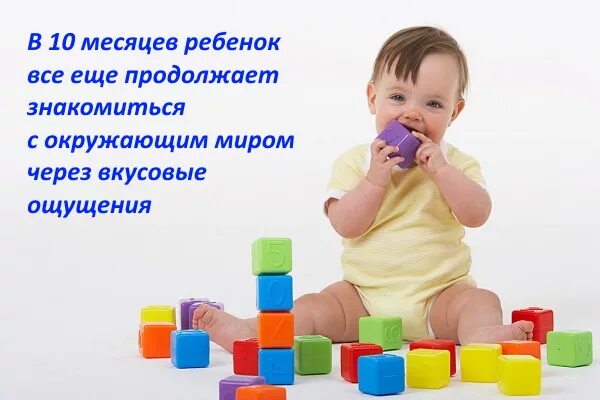 10 Месяцев ребенку развитие. Что должен уметь ребёнок в 10 месяцев. Развитие ребенка в 10. Малыш 10 месяцев развитие. Что умеет девочка в 10 месяцев