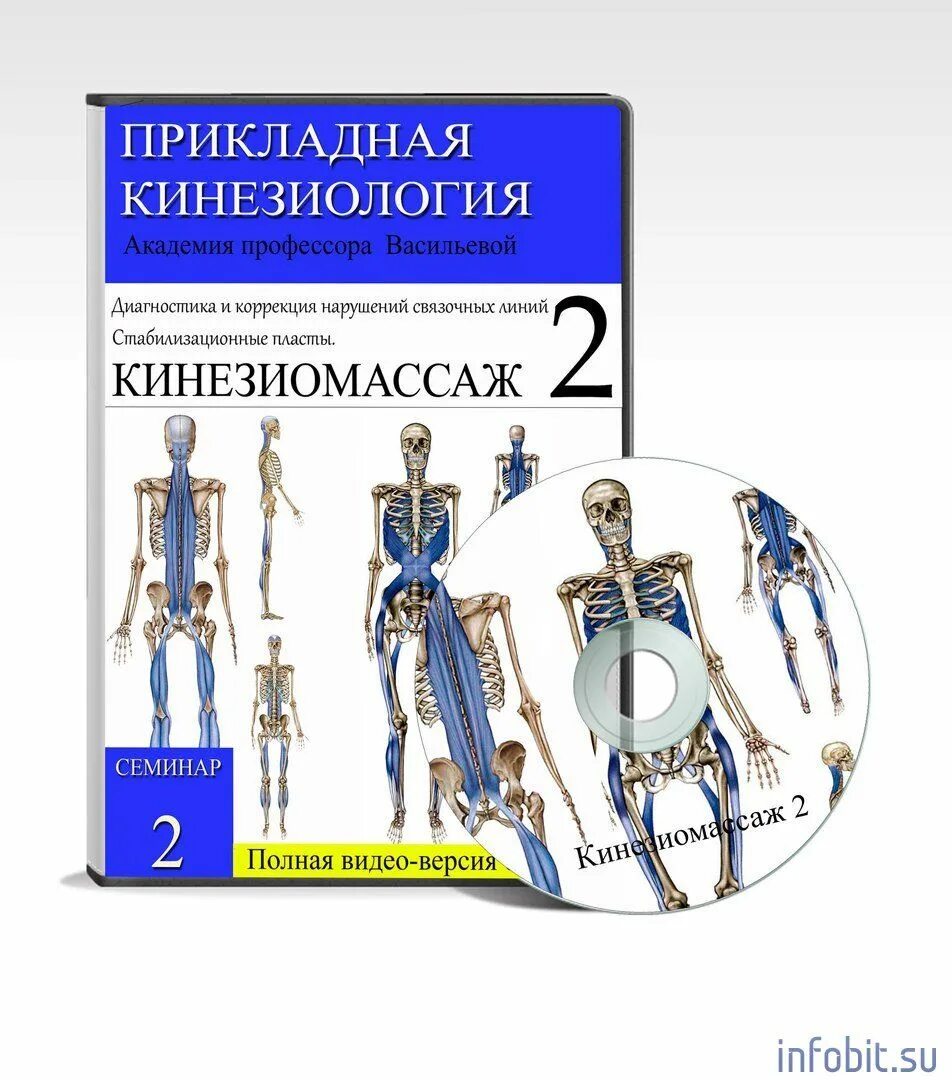 Васильева прикладная кинезиология книга. Прикладная кинезиология. Прикладная кинезиология книга. Васильева кинезиология книги. Прикладная кинезиология Васильева.