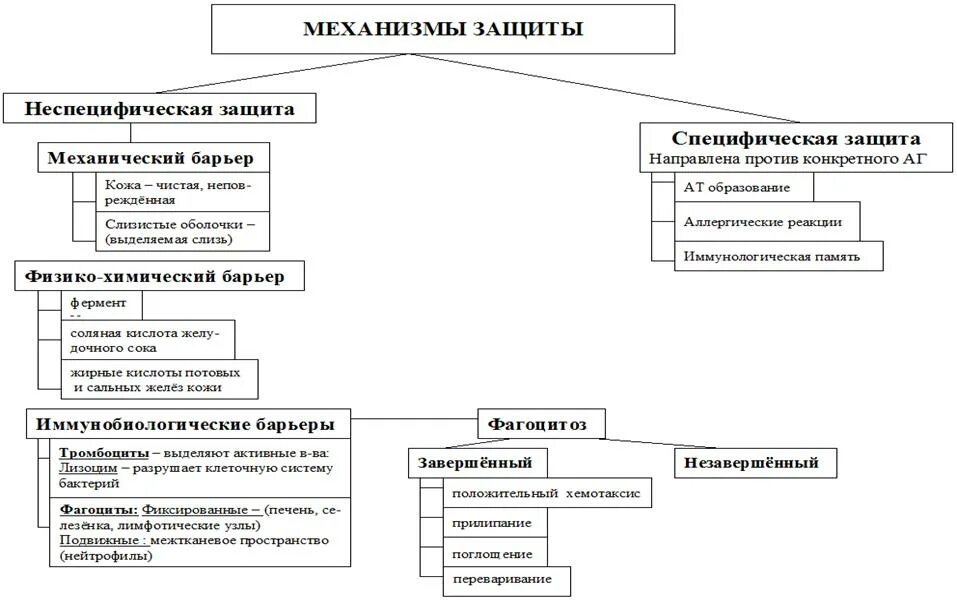 Неспецифические факторы защиты человека. Специфические и неспецифические факторы защиты. Специфические факторы защиты человека. Факторы защиты микробиология. Защитные факторы полости рта.