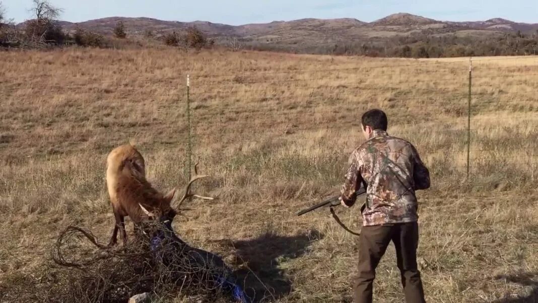 Мужики охотятся на девушек в костюмах оленей. Охота на мужчин. Охота на оленя. Охотник с ружьем.