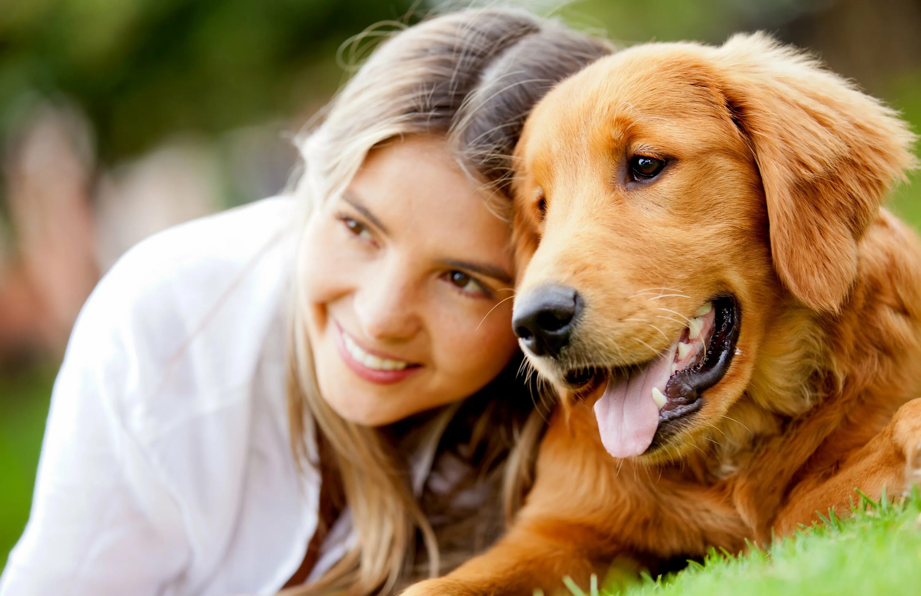 Woman with animals. Собака друг человека. Человек с домашним Живон. Красивые собаки. Дружба собаки и человека.