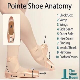 pointe shoe anatomy - hoquq.org.