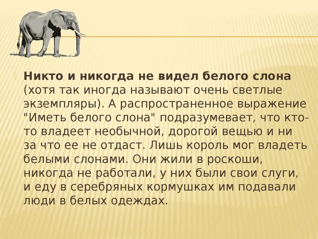 История про слона или стихотворение. Интересные факты о слоне. Факты о слонах. Интересный рассказ о слоне. Интере ные ыакты о млонах.