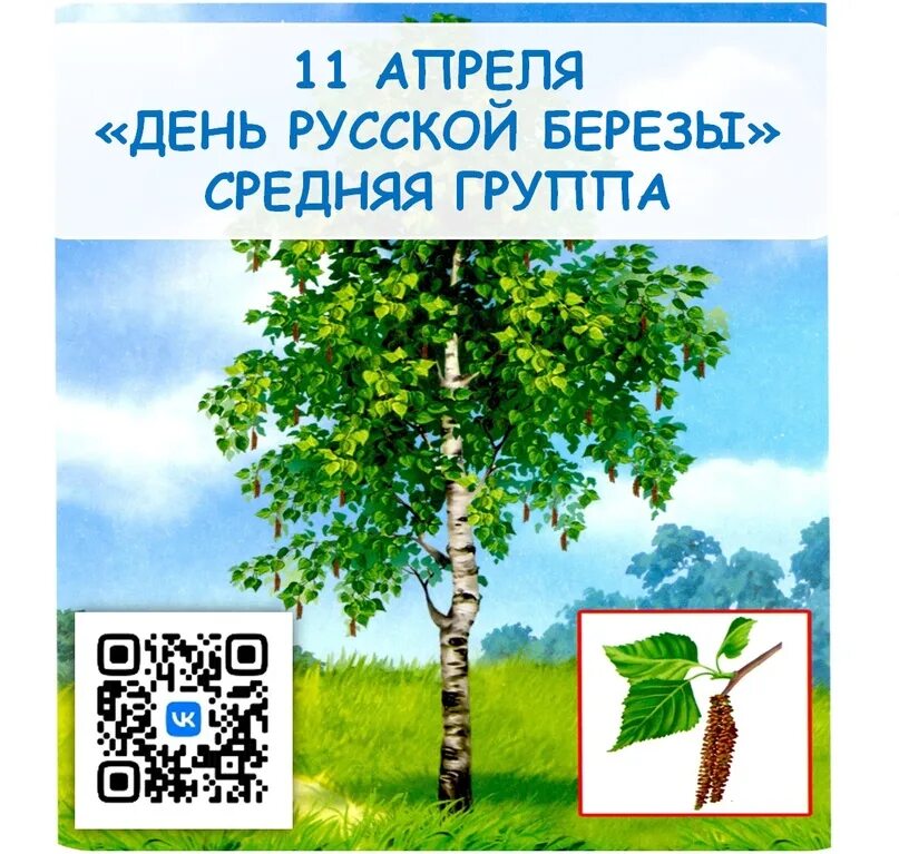 Средний березка. День березы в детском саду средняя. День березы в средней группе. 11 Апреля день березы. День березы в детском саду старшая группа.