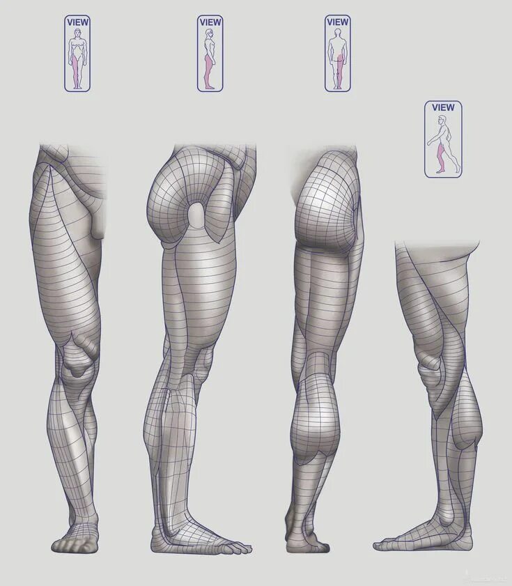 Shape of view