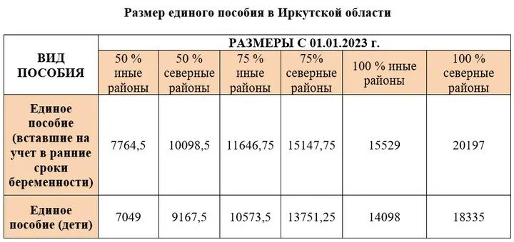 Единое пособие в январе 2024 какого. Размер единого пособия. Единое пособие в Иркутской области. Одобрили единое пособие. Не оформлять единое пособие.