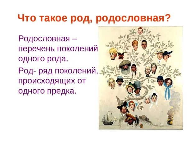 Дерево соднакориными словами. Моя родословная. Сила рода. Как определить род имен существительных. Схема классификации групп царства растений.