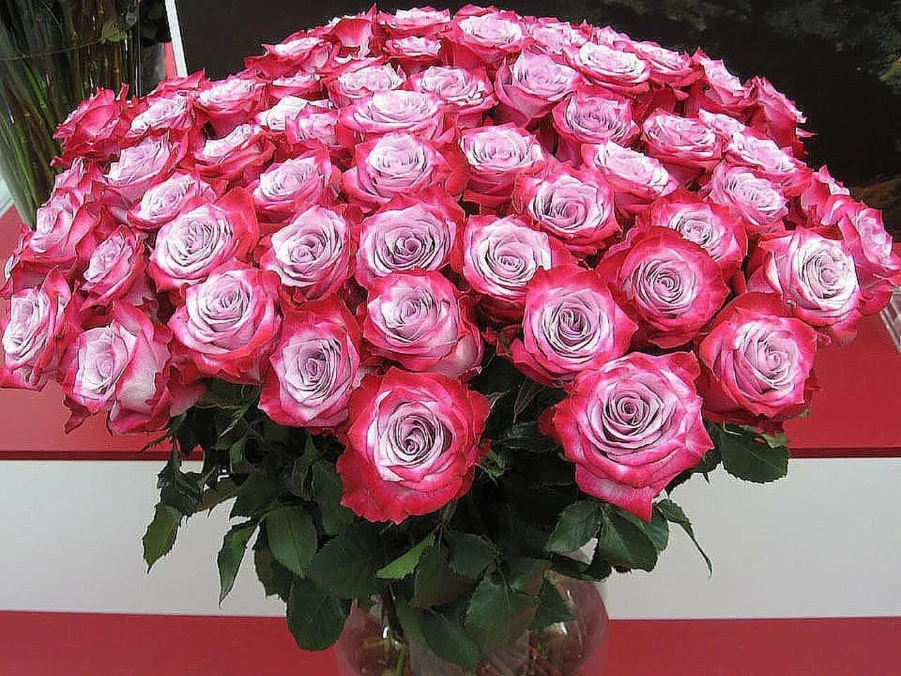 С днем рождения огромные розы. Шикарный букет цветов. Большие букеты цветов. Огромный букет цветов. Шикарный букет из роз.