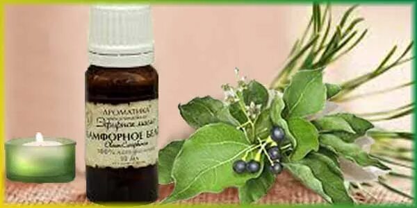 Камфорное масло фото Камфорное масло применение детям: найдено 89 изображений