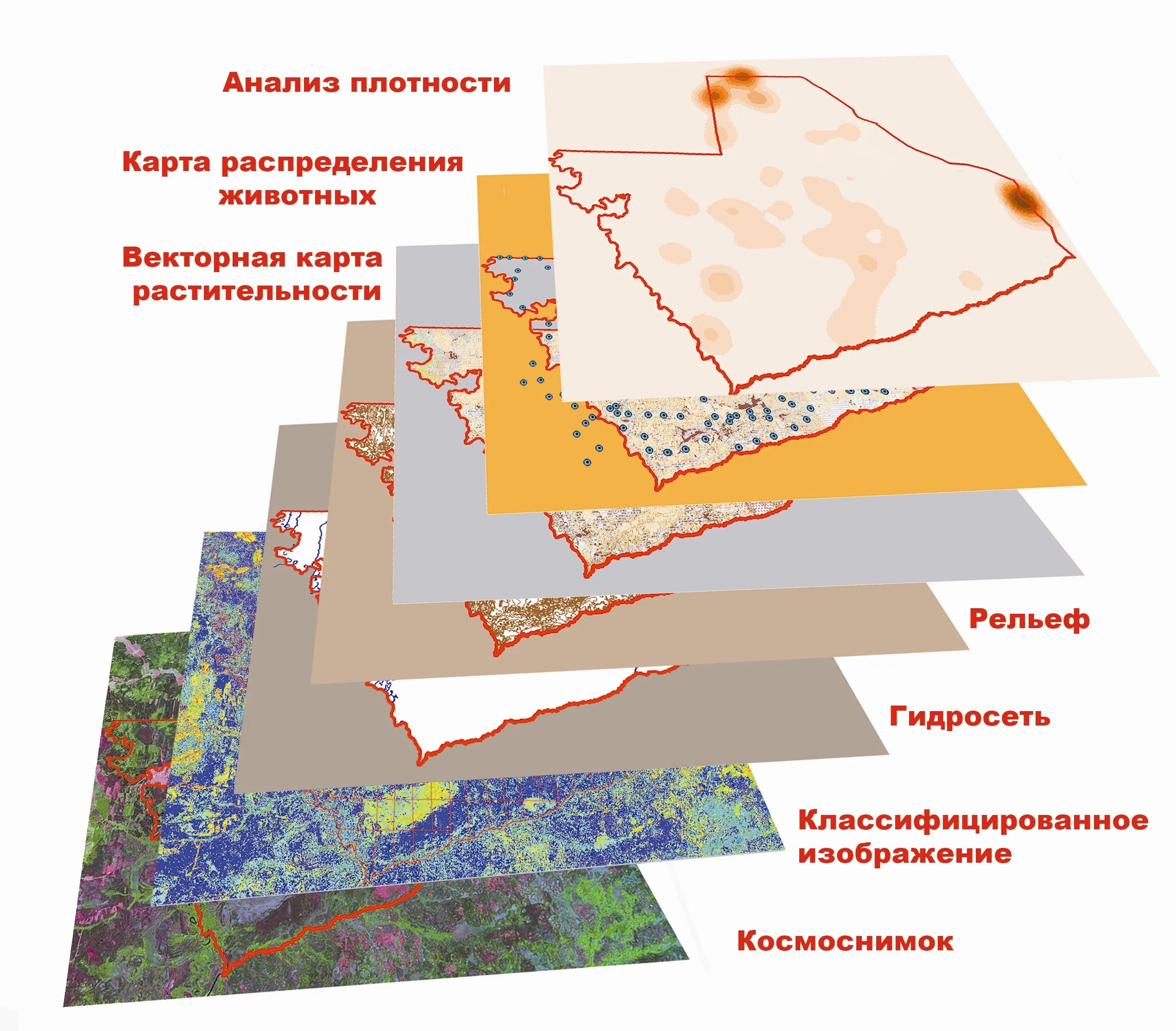 Организация информации в гис. Тематические слои в ГИС. Картографическая информация. Геоинформационное картографирование. ГИС проект.