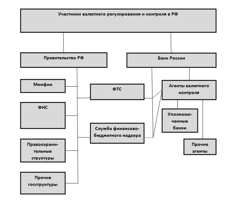 Валютный контроль в российской федерации. Структура органов валютного контроля. Схема «органы и агенты валютного контроля».. Система органов валютного регулирования и валютного контроля РФ. Структура валютного контроля в РФ.