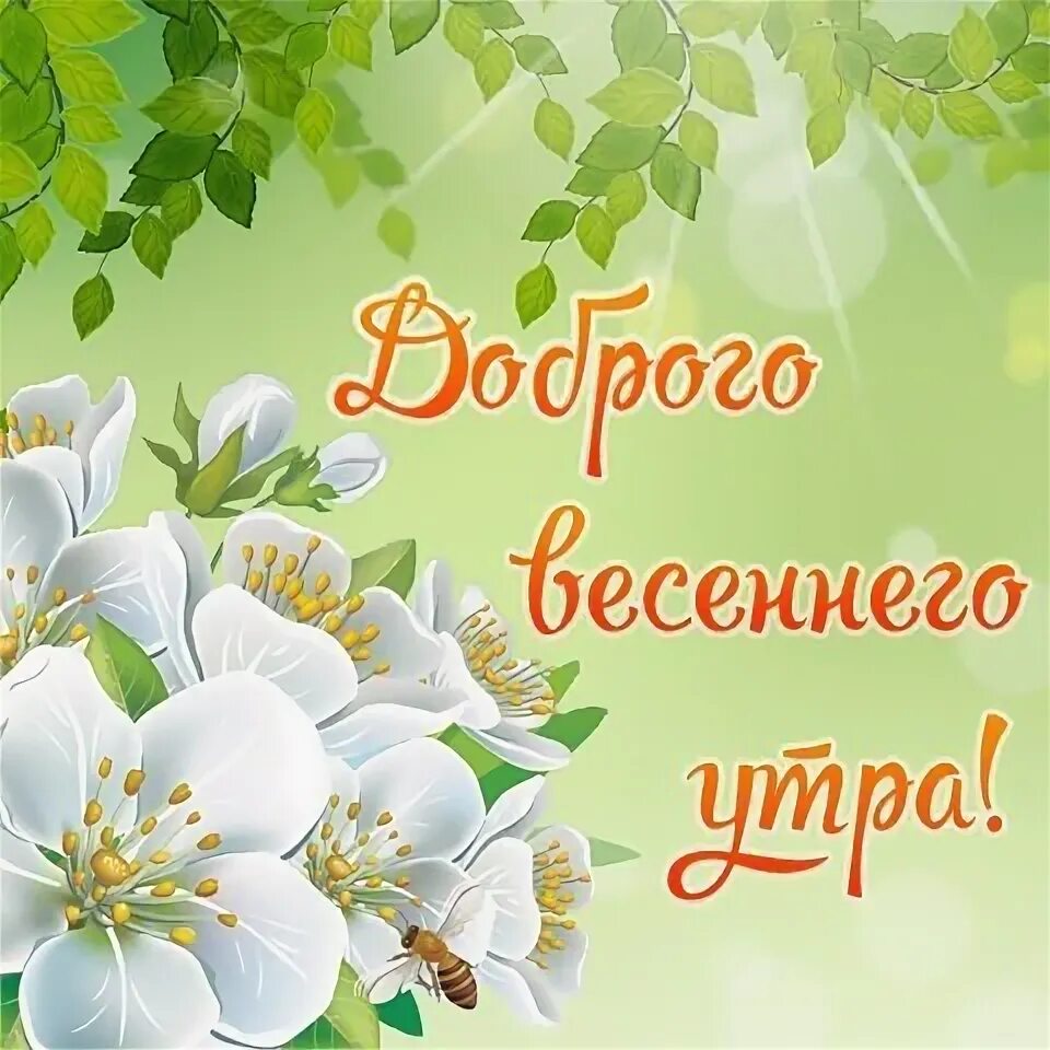 С добром утром картинки весенние на татарском. Открыточки с добрым весенним утром. поздравления с добрым утром весны.