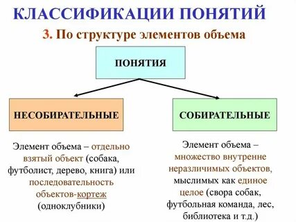 Охарактеризуйте понятия жизнь деятельность