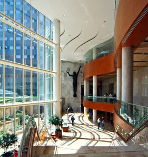 Mayo clinic