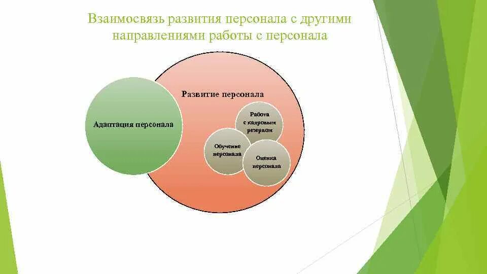 Направления развития персонала. Система развития персонала в организации. Понятие развитие персонала.направления развития персонала. Развитие персонала для слайда.