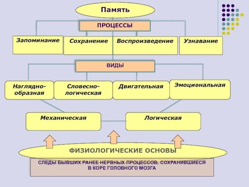 Процесс запоминания сохранения и воспроизведения информации. Процессы памяти: запоминание, сохранение, воспроизведение, узнавание;. основные процессы памяти запоминание сохранение воспроизведение. виды памяти двигательная образная эмоциональная словесно-логическая. виды воспроизведения в психологии.
