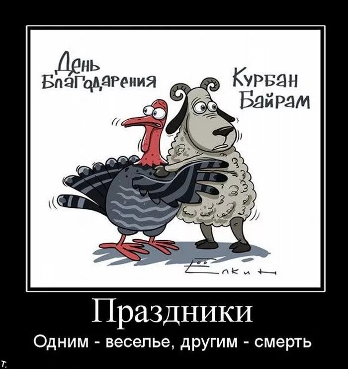 Иду курбан. Демотиватор. Курбан байрам демотиваторы. Праздник демотиватор. Шутки про курам байран.