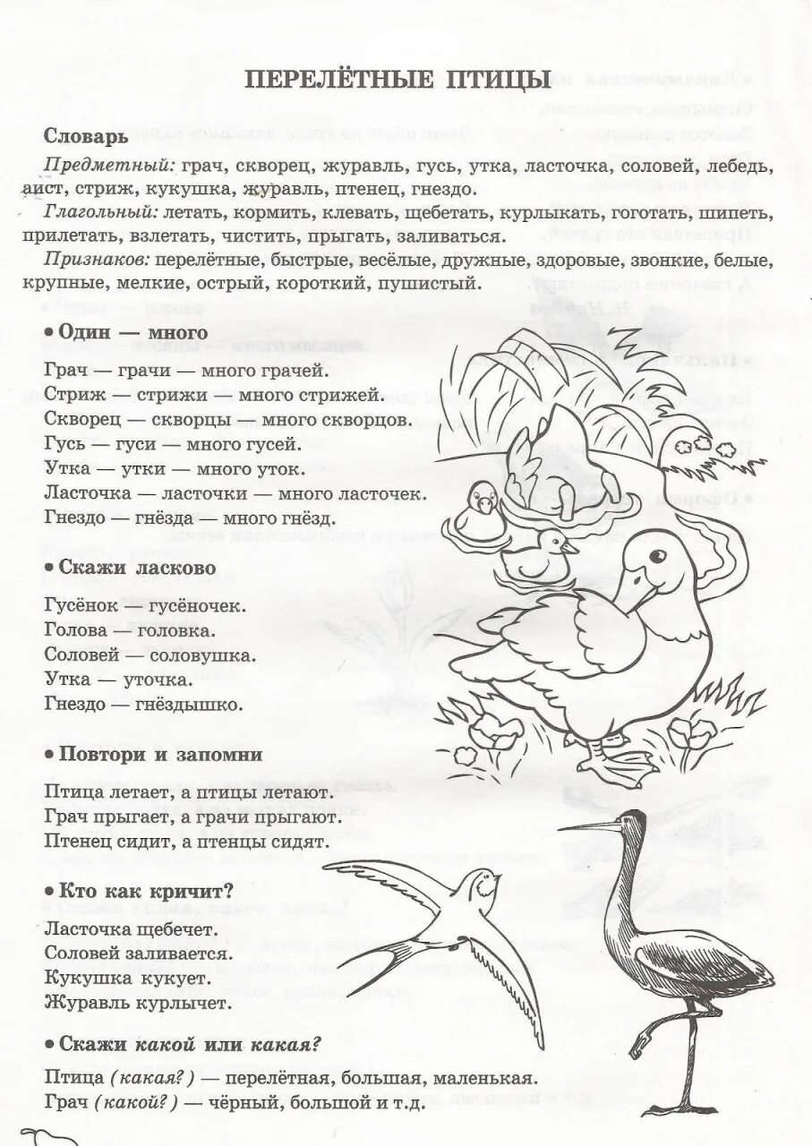 Задачи логопедической группы