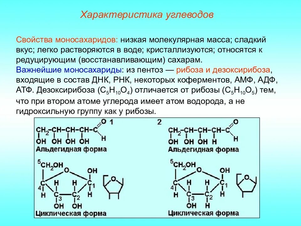 Углеводы липиды строение. Дезоксирибоза химические свойства. Дезоксирибоза это альдегидоспирт. Углевод.общая характеристика углеводов. Химические свойства углеводы моносахаридов химия.