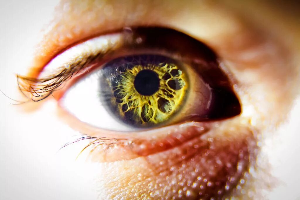 Описание желтых глаз. Зелено янтарные глаза. Желтые глаза. Желто коричневые глаза. Яркие янтарные глаза.