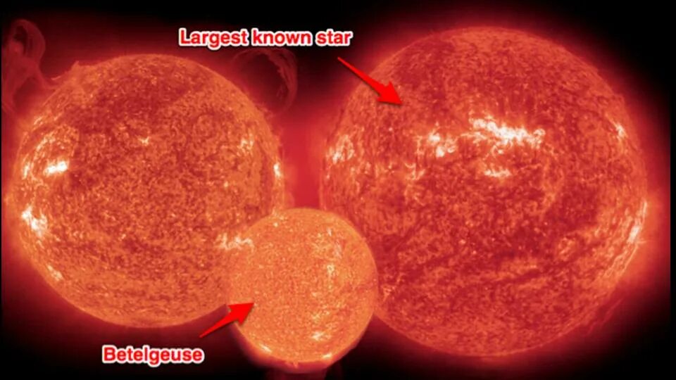 Большой гигант звезда. R136a1 и Бетельгейзе. Звезда Бетельгейзе и солнце. Звезда-гигант Бетельгейзе. Звезда щита и Бетельгейзе.