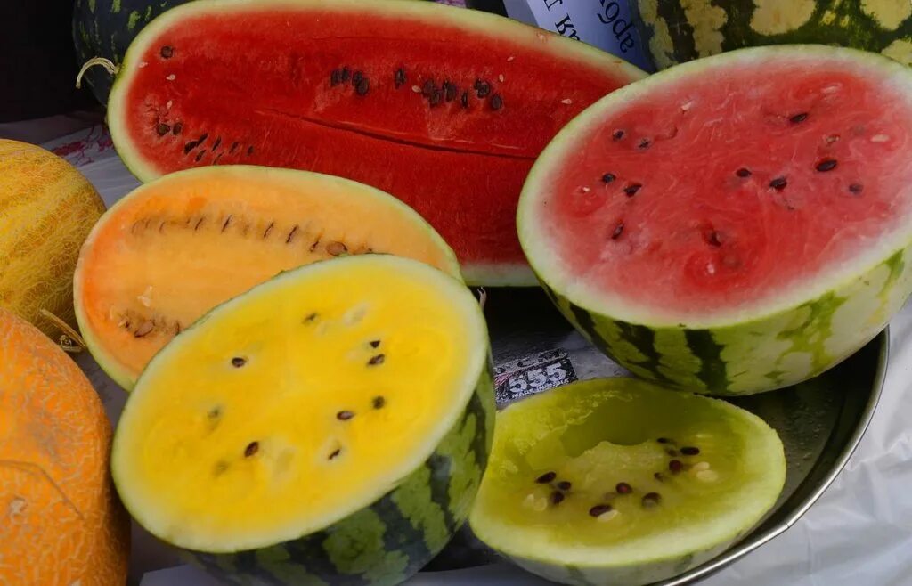 Арбузы разной формы. Мраморный арбуз. Арбузы разной формы. Кавун арбуз. Необычные арбузы.