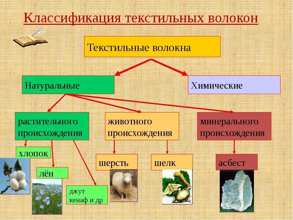 Растительная шерсть. Классификация текстильных химических волокон. Классификация натуральных волокон растительного происхождения. Виды натуральных волокон. Химические ткстильныеволокна.