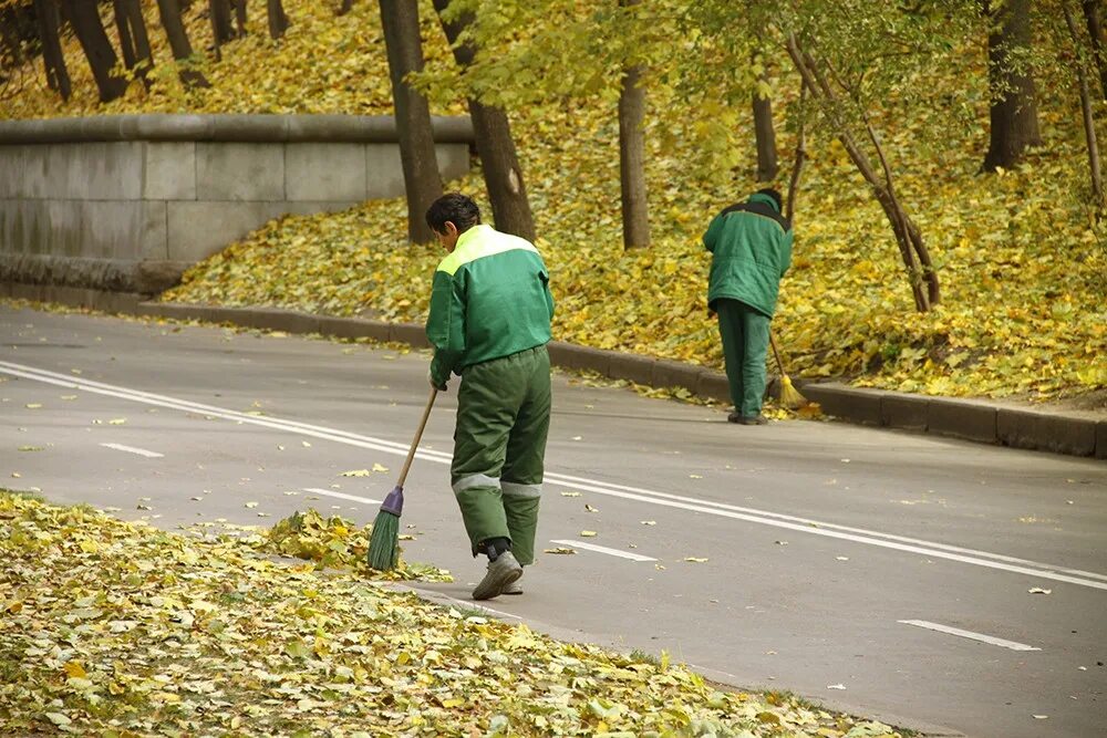 Хочу быть дворником. Дворник. Дворник в Москве. Дворники уличные. Дворник в Европе.